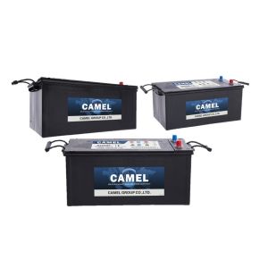 Heavy Duty Truck Battery