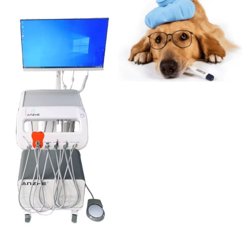 Custom Portable Veterinary Instrument Unique Design Mobile Dental Trolley with Oral Camera