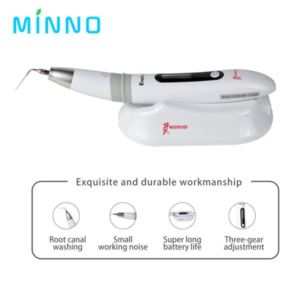 EN149 Ativador Endotérmico Dental Peixe de Madeira Endo 3 Irrigador Oral Ultrassonico