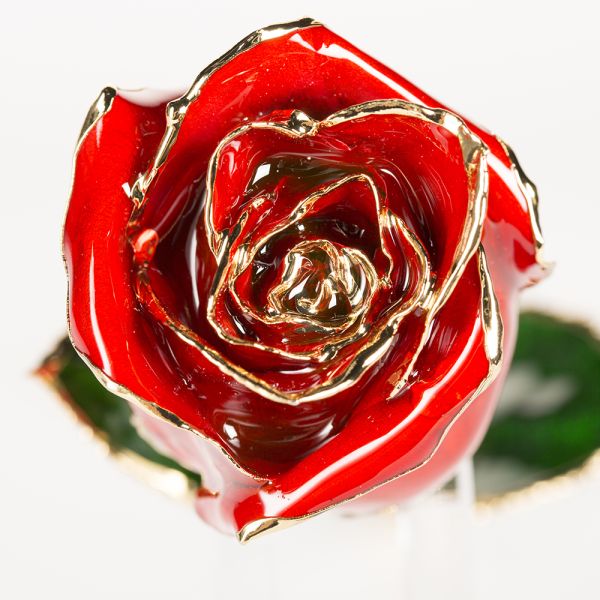 Gold Plated Rose Fresh Preserved Flower Gold Plated Natural Rose Everlasting Rose Flowers Wholesale Valentine Mother Day