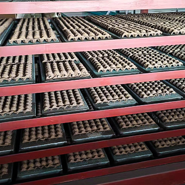 automatic cheap and fine egg tray making machine