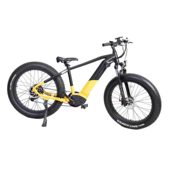 Customized Dual Motor Electric Mountain Bike with Central Motor and Max Speed 50km/h