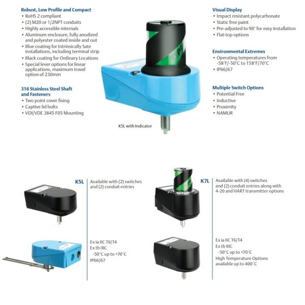 TopWorx Type K1P-M21RNMS Magnetic Target Switch With Rugged Housing