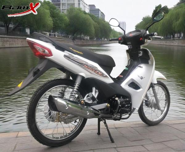 Chrome Vintage Trail Sportbike Dirt Bikes 110cc Motorcycle Super CUB Bike