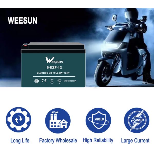 Rechargeable Deep Cycle E Bike Battery 6 Dzm 12 12v12ah Battery