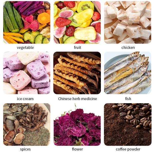 Вакуумная морозильная машина Домашние морозильные сушилки Сушильное оборудование для пищи с фильтром масляного тумана