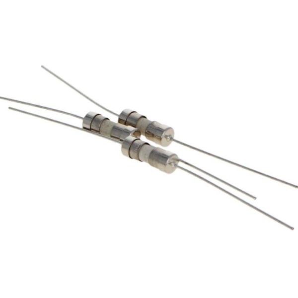 o tubo cerâmico com saídas axiais de 3x10mm funde 250V fusível rápido do sopro de 10 ampères