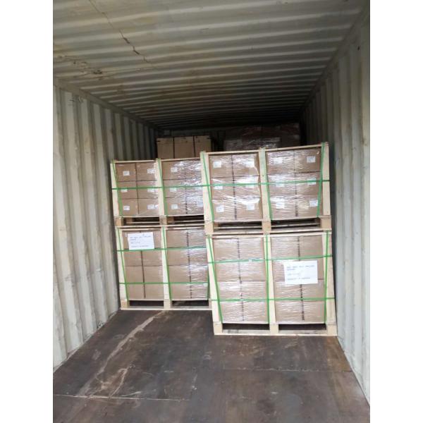 Gypsum Board Screw Phillips Bugle Head Dry Wall Screw Cheap Metal Drywall Screws