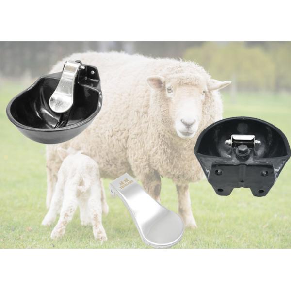 4 Holes Design Cattle Water Drinking Bowl Stainless Steel Wall Mounting