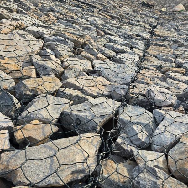 Protégez votre projet avec un treillis métallique en gabion revêtu de PVC pour une protection durable des berges et une stabilisation des pentes