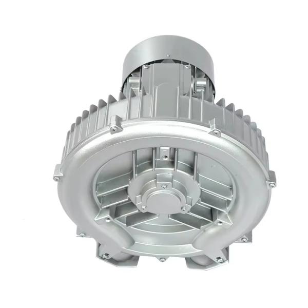 Fabrique en gros 0.2KW souffleur de canal latéral à étage unique pompe à air élevage de poissons