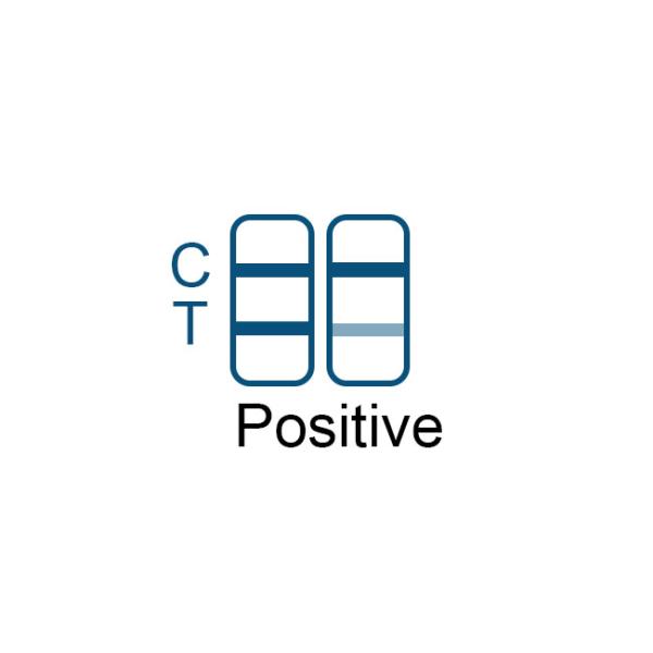 CE тестов набора 1 теста антигена SARS-CoV-2 домашний/набора на носовая точность 99,68% пробирки