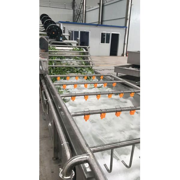 440В машина для очистки пищевых продуктов Промышленная машина для мытья овощей для оливков Авокадо