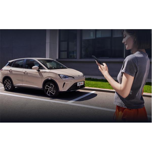 Neta Aya Electric Mini 5-местный компактный внедорожник Срок автономной работы 318 км-401 км