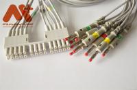 Ligação 9293-041-50 do cabo 10 do ECG de Mortara Burdick para a máquina do ECG