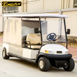 2 Person Hotel Buggy Car 3.7KW 48V Trojan Batteries Golf Cart Buggy