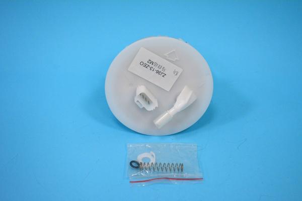 PEDV-13-ZEO Car Fuel Pump