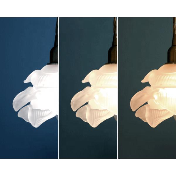 Свет белого современного стеклянного цветка привесной лампы домашнего крытого нордический вися