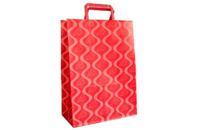 Color printed paper carrying bag 01