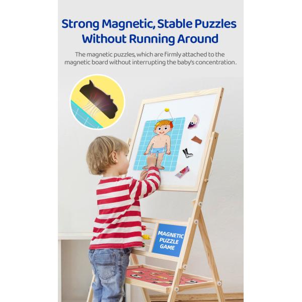 Модель человеческого тела реалистический человеческий дисплей анатомии забавляется 48 частей ранг 3+ возрасты 8+