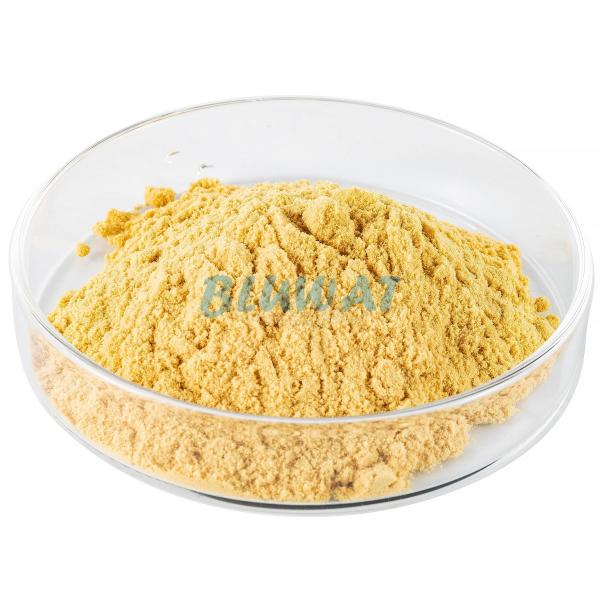 Ferric Sulfate Powder 21% Purity for Wastewater Treatment