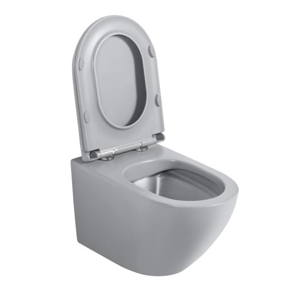 CE European Style Wall Mounted Concealed Tank D Shape Round Ceramic Wall Hung Toilet for Bathroom
