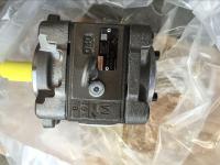 PGH5-3X/063RR11VU2 PGH4-3X/063RE11VU2 Original Rexroth INTERNAL GEAR PUMP