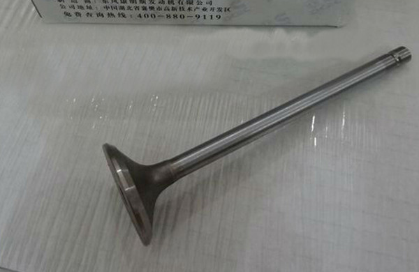 Cummins Spare Parts Cummins L Intake/ Exhaust Valve 3942588 3800340/ 3942589 3800341