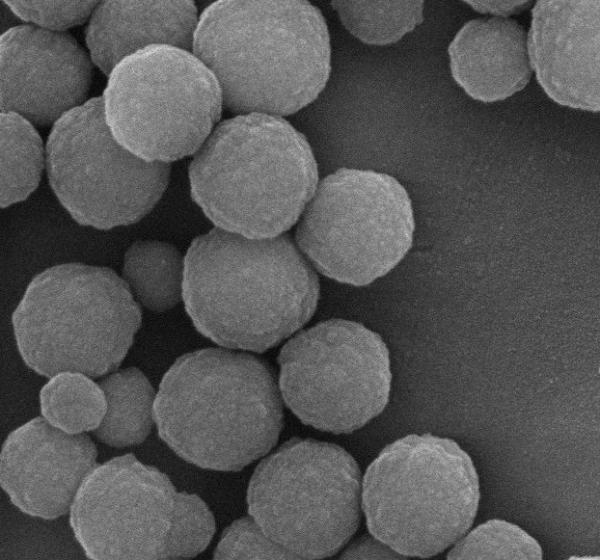 500nm 10 mL Silica Magnetic Beads For DNA Extraction With Super Strong Magnetism