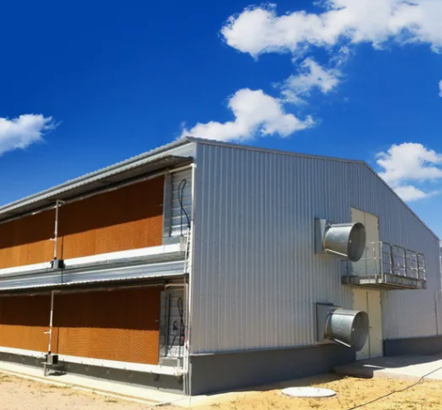 Prefabricated Steel Poultry House with 10 Year Warranty, Customizable Design & Zn-Al-Mg Coating