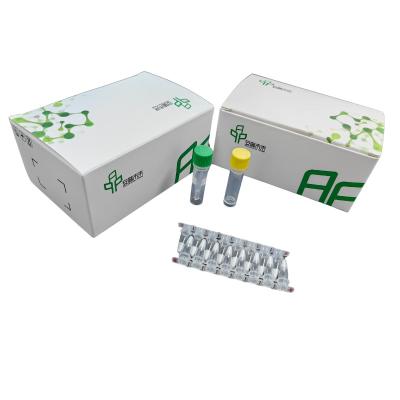 Kit de Amplificação Isotérmica de ADN NFO para Amplificação a Temperatura Ambiental