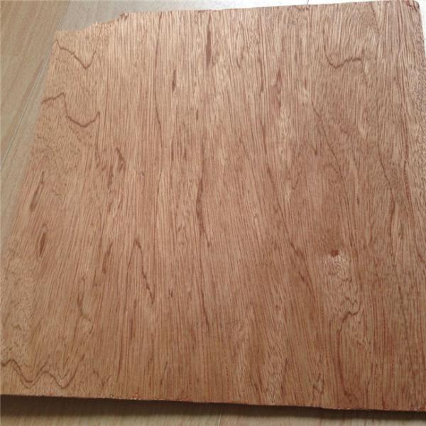 WB Phenolic Bintangor Plywood