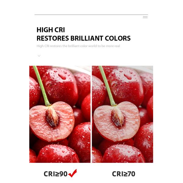 Bi-Color LED Chip 18W-30W 2800K-6500K Tunable COB Ra90