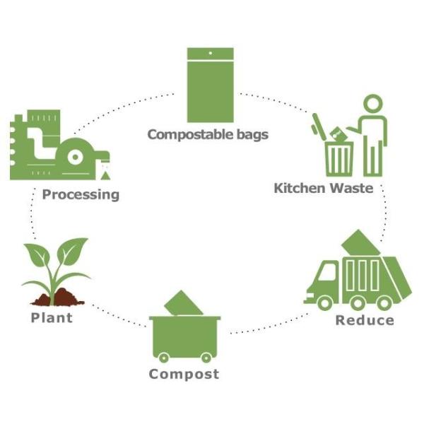 Сумки кофе дна 150г на вынос еды плоские Биодеградабле