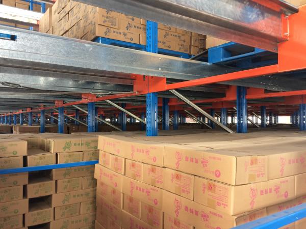 Radio Shuttle Racking System Cold Storage Racking System