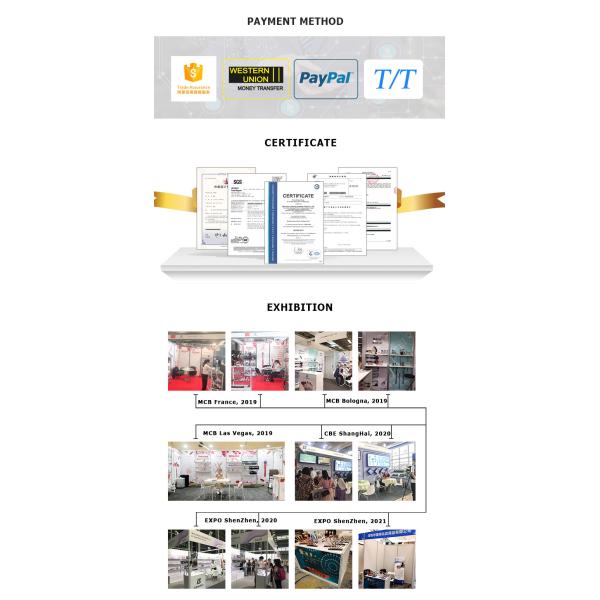 Щетка вентилятора порошка пластиковой ручки Веган, наборы щетки макияжа прозрачного яркого блеска роскошные