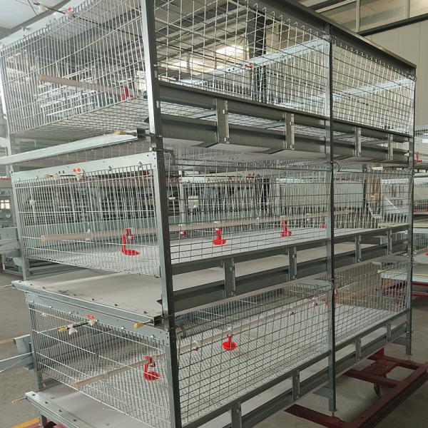 Gaiola da galinha da série dos rebanhos animais 3 da agricultura, equipamento agrícola da grelha do HDG 125kgs 208
