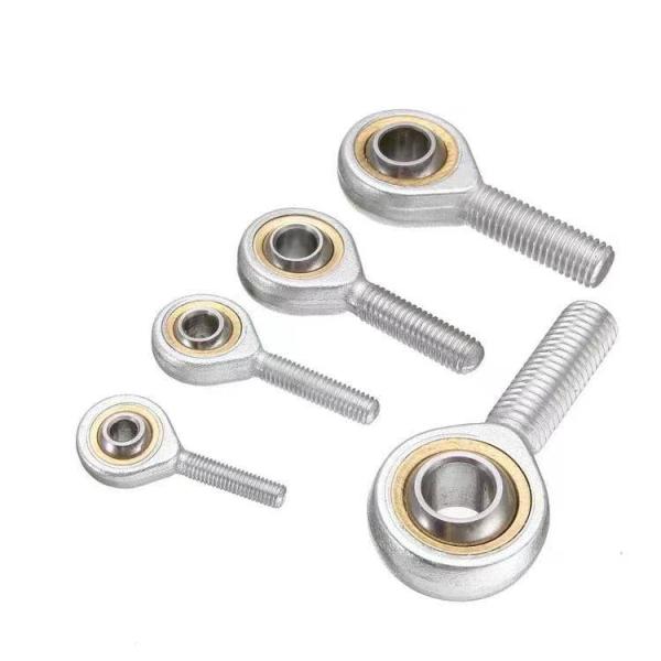 Stainless Steel 12mm Female Thread Rod End Bearing SI12T/K Joint Bearing SI12TK PHSA12