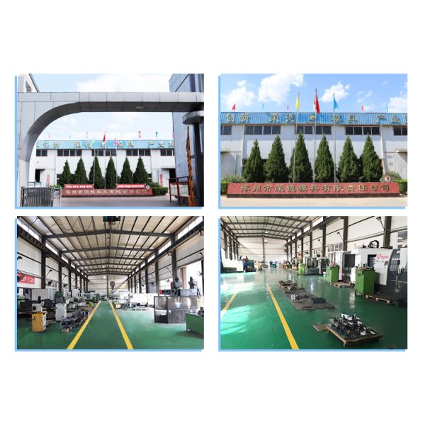 Lampshade Injection Mold With High Light Transmittance For Even And Soft Lighting Effect