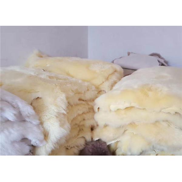 Escoja los amortiguadores echados a un lado de la silla del comedor de la piel de las ovejas a prueba de humedad con el pelo largo