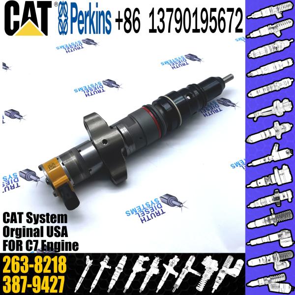 CAT Injetor de combustível diesel 3879427 387-9427 263-8216 263-8218 236-0962 10R-7221 Para partes de motores C7 C9
