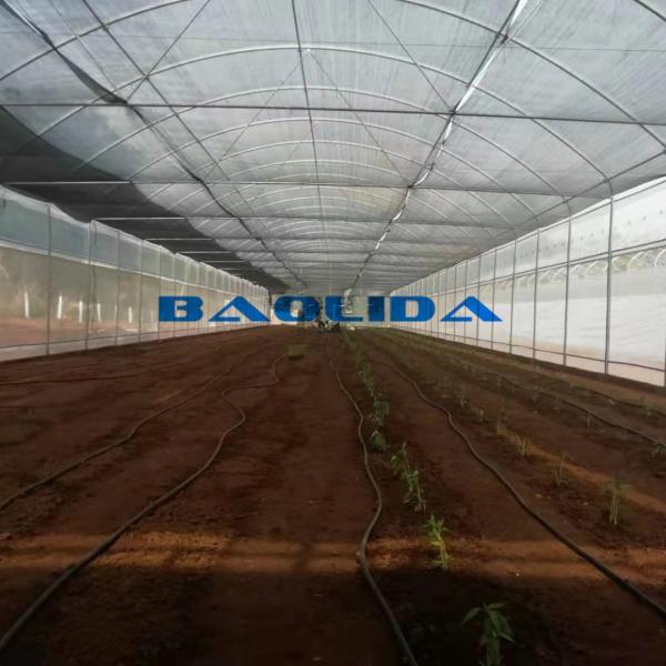 Ясный УЛЬТРАФИОЛЕТОВЫЙ обработанный парник тоннеля структуры металла ржавчины фильма анти-