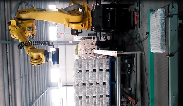 Automated Spaghetti Box Palletizing Robot / robotic packaging systems SGS Certificate