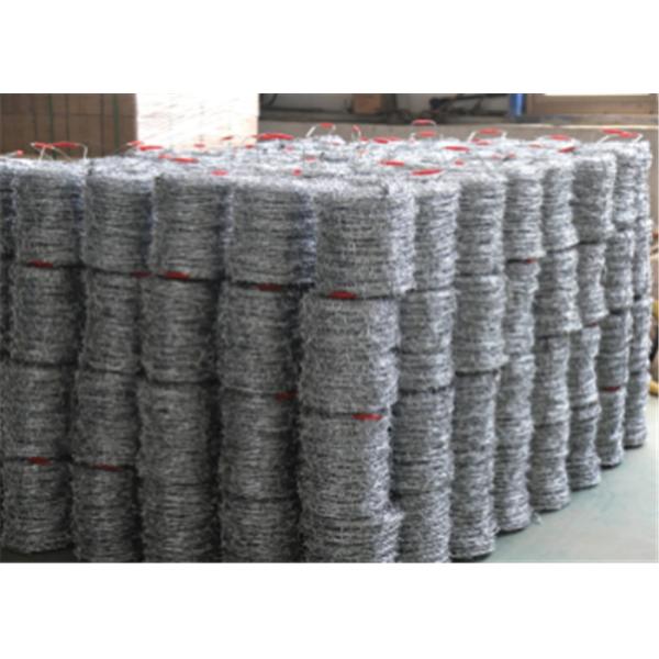 25kg 1.8mm 10x12 гальванизировало провод бритвы