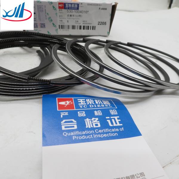 Auto Parts Altatec Piston Ring 23040 45010 For Building Loader