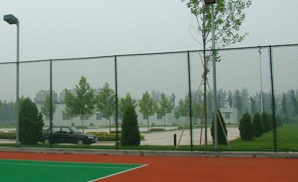 HOT sales Chain Link Fencing,Industrial Fencing,sport yard fence