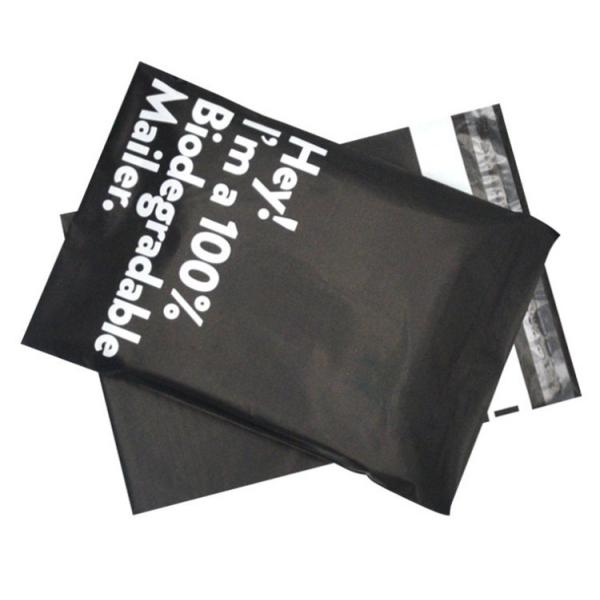 Custom Eco Friendly PLA Corn Starch Biodegradable Packaging Bags With Zip Lock