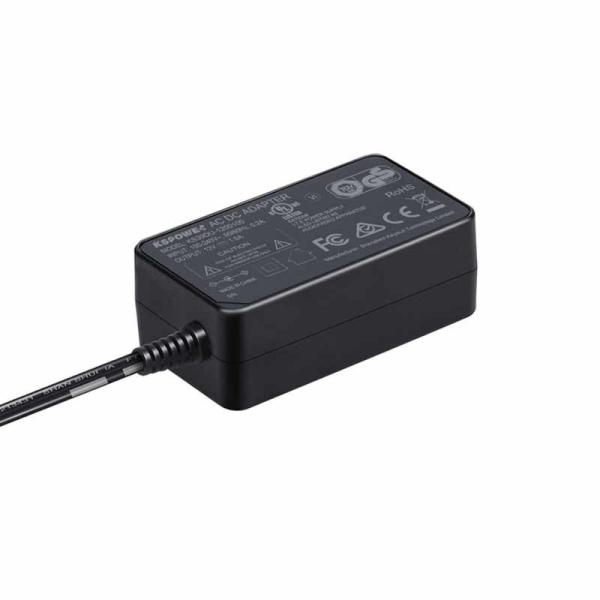 Wall Mounted 12V 1A Power Adapter For Coffee Maker Water Purifier Pump 24V 0.5A