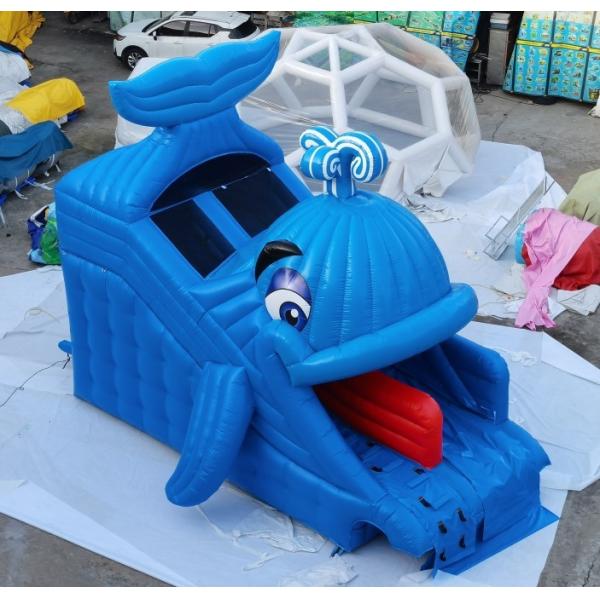 Задворк коммерчески раздувного дизайна кита водных горок домашняя