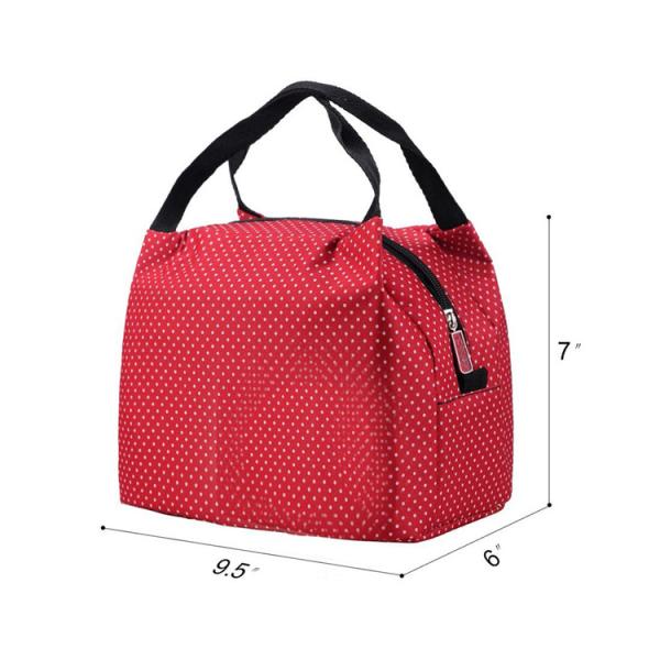 Summer Thermal Medicine 6 Can Cooler Carry Bulk Frozen Food Lightweight